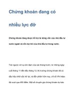 Chứng khoán đang có nhiều lực đỡ doc