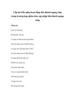 Cấp lại Giấy phép hoạt động bến khách ngang sông trong trường hợp phân chia, ppsx