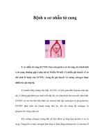 Bệnh u cơ nhẵn tử cung potx