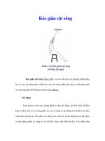 Kéo giãn cột sống pdf