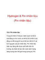 Hydrogen & Pin nhiên liệu (Pin nhiên liệu) pptx