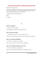 Commonly-Used Idioms, Sayings and phrasal verbs - 