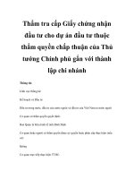 Thẩm tra cấp Giấy chứng nhận đầu tư cho dự án đầu tư thuộc thẩm quyền chấp thuận của Thủ tướng Chính phủ gắn với thành lập chi nhánh potx