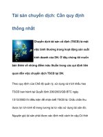 Tài sản chuyển dịch: Cần quy định thống nhất pdf