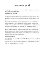 Lợi ích của giá đỗ ppsx