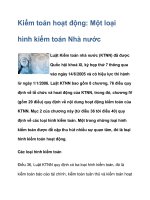 Kiểm toán hoạt động: Một loại hình kiểm toán ppt