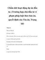 Chấm dứt hoạt động dự án đầu tư. (Trường hợp chủ đầu tư vi phạm pháp luật theo bản án, quyết định của Tòa án, Trọng tài) pot