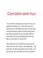 Cảm biến sinh học ppt