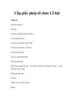 Cấp giấy phép tổ chức Lễ hội Thông tin Lĩnh vực thống kê: Văn hóa Cơ quan có pdf