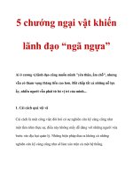 5 chướng ngại vật khiến lãnh đạo “ngã ngựa” pdf
