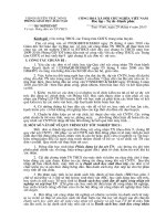 Huong dan xet TN nam 2010