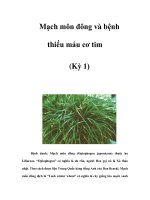 Mạch môn đông và bệnh thiếu máu cơ tim (Kỳ 1) doc