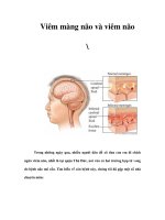 Viêm màng não và viêm não ppsx