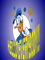 Luật thuế xuất - nhập khẩu pptx