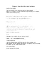 Code chữ chạy phía trên cùng của banner.doc