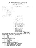 Bai kiem tra cuoi nam  lop 1( CKTKN)