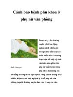 Cảnh báo bệnh phụ khoa ở phụ nữ văn phòng ppsx