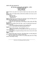 de thi HSG TV- lop 4-2009-2010