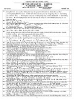 ĐỀ THI GIỮA KỲ 2 (CÓ Đ.A)- KHỐI 10