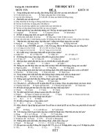 Đề thi HK I Tin học 10