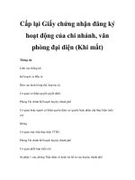 Cấp lại Giấy chứng nhận đăng ký hoạt động của chi nhánh, văn phòng đại diện (Khi mất) doc