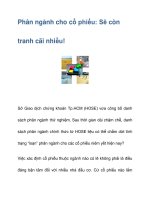 Phân ngành cho cổ phiếu: Sẽ còn tranh cãi nhiều! ppsx