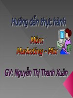 Hướng dẫn thực hành môn Marketing - Mix pdf
