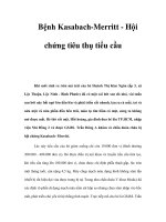 Bệnh Kasabach-Merritt - Hội chứng tiêu thụ tiểu cầu potx