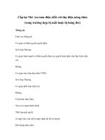 Cấp lại Thẻ An toàn điện (đối với thợ điện nông thôn trong trường hợp bị mất hoặc bị hỏng thẻ) pps