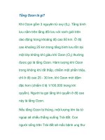 Tầng Ozon là gì? docx