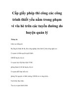 Cấp giấy phép thi công các công trình thiết yếu nằm trong phạm vi vĩa hè trên các tuyến đường do huyện quản lý pps