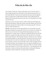 Viêm da do liên cầu ppsx