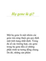 Họ gene là gì? docx