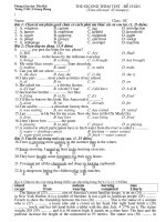 ĐỀ THAM KHẢO HỌC KÌ 2 - LẦN 1 - LỚP 8 - 2009 - 2010