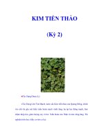 KIM TIỀN THẢO (Kỳ 2) potx