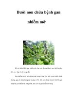 Bưởi non chữa bệnh gan nhiễm mỡ pot
