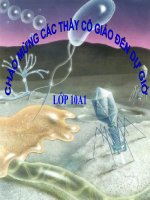 bài giảng tế bào nhân thực