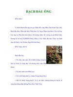 BẠCH ĐẦU ÔNG potx