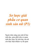 Sơ lược giải phẫu cơ quan sinh sản nữ (P1) pps