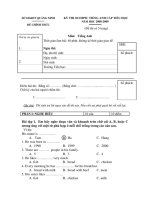 de kiem tra cuoi nam mon tieng viet