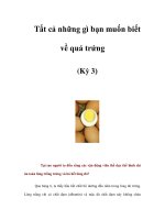 Tất cả những gì bạn muốn biết về quả trứng (Kỳ 3) pot