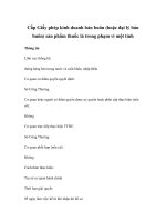 Cấp Giấy phép kinh doanh bán buôn (hoặc đại lý bán buôn) sản phẩm thuốc lá trong phạm vi một tỉnh pptx