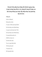 Cấp lại Giấy phép hoạt động bến khách ngang sông trong trườngaCấp lại Giấy phép hoạt động bến khách ngang sông trong trường hợp đầu tư xây dựng bổ sung để nâng cao khả năng thông qua hoặc tiếp nhận được loại phương tiện lớn hơn hợp đầu tư pptx