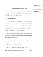 Mô hình sản xuất lúa nước có sử dụng phân hữu cơ ủ pot