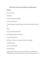 Hỗ trợ đầu tư trung tâm sản xuất giống cây rừng chất lượng cao pdf