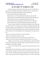 SỰ KỲ DIỆU TỪ NGHỊCH CẢNH pps