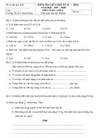 on lop 5 theo de cuong cua so