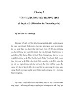 Châm cứu học - Chương 9 - THỦ THÁI DƯƠNG TIỂU TRƯỜNG KINH potx