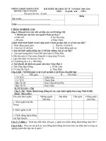 ĐỀ+ĐÁP ÁN THI HKII(2009-2010) SỬ 6