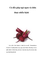 Củ dền giúp ngủ ngon và chữa được nhiều bệnh potx